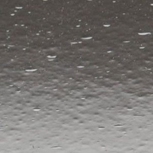 OGT-C-100SNseedy
